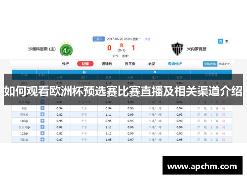 如何观看欧洲杯预选赛比赛直播及相关渠道介绍