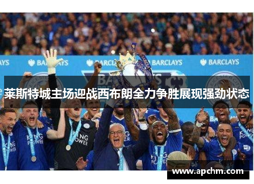 莱斯特城主场迎战西布朗全力争胜展现强劲状态