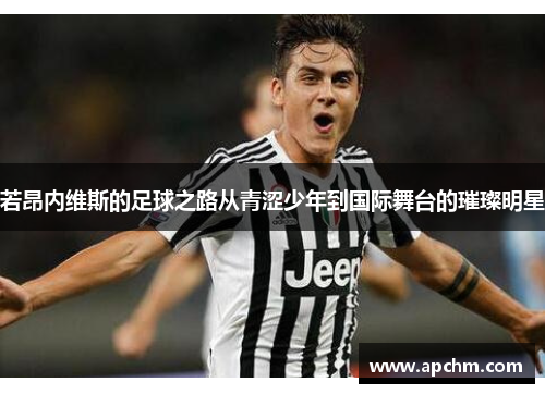 若昂内维斯的足球之路从青涩少年到国际舞台的璀璨明星
